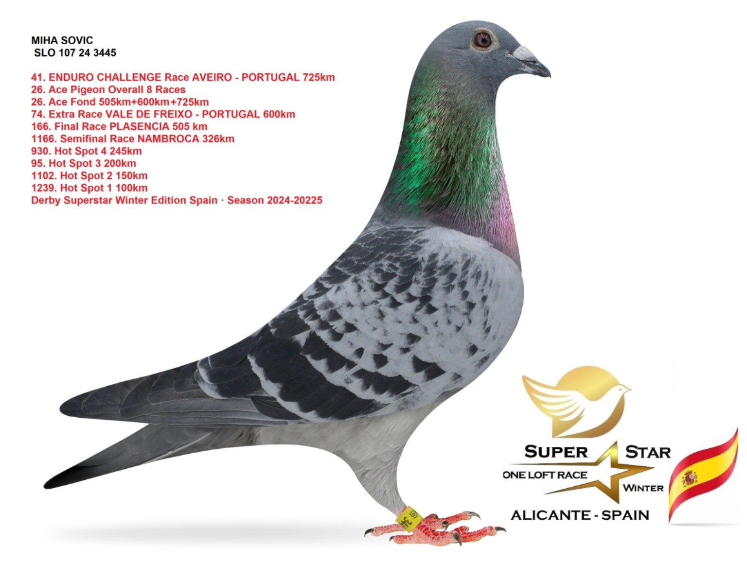 SLO 107-24-3445